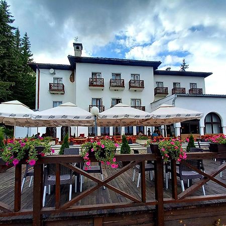 Hotel Vlasina - Vlasinsko Jezero فالسينا ريد المظهر الخارجي الصورة