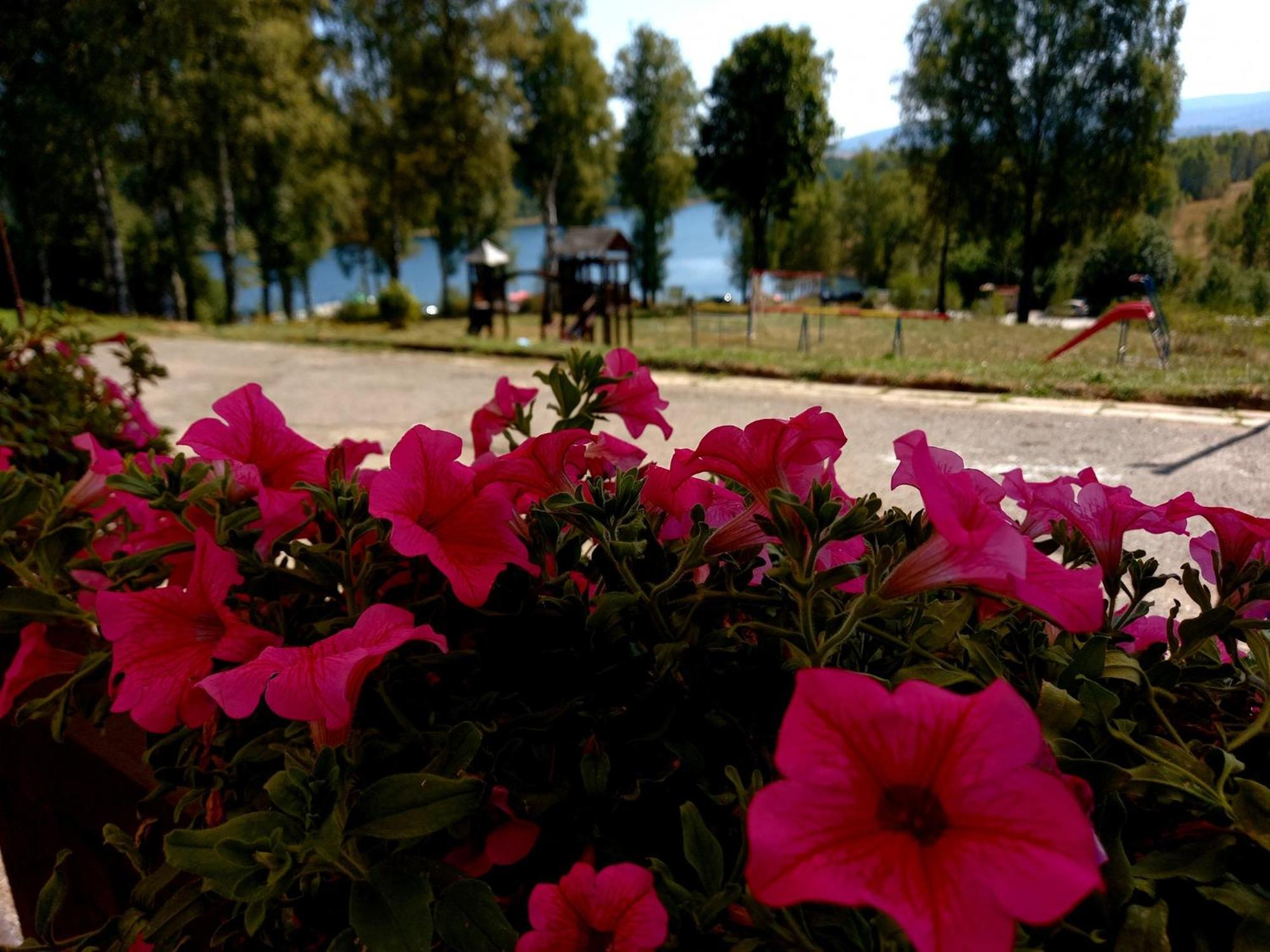 Hotel Vlasina - Vlasinsko Jezero فالسينا ريد المظهر الخارجي الصورة