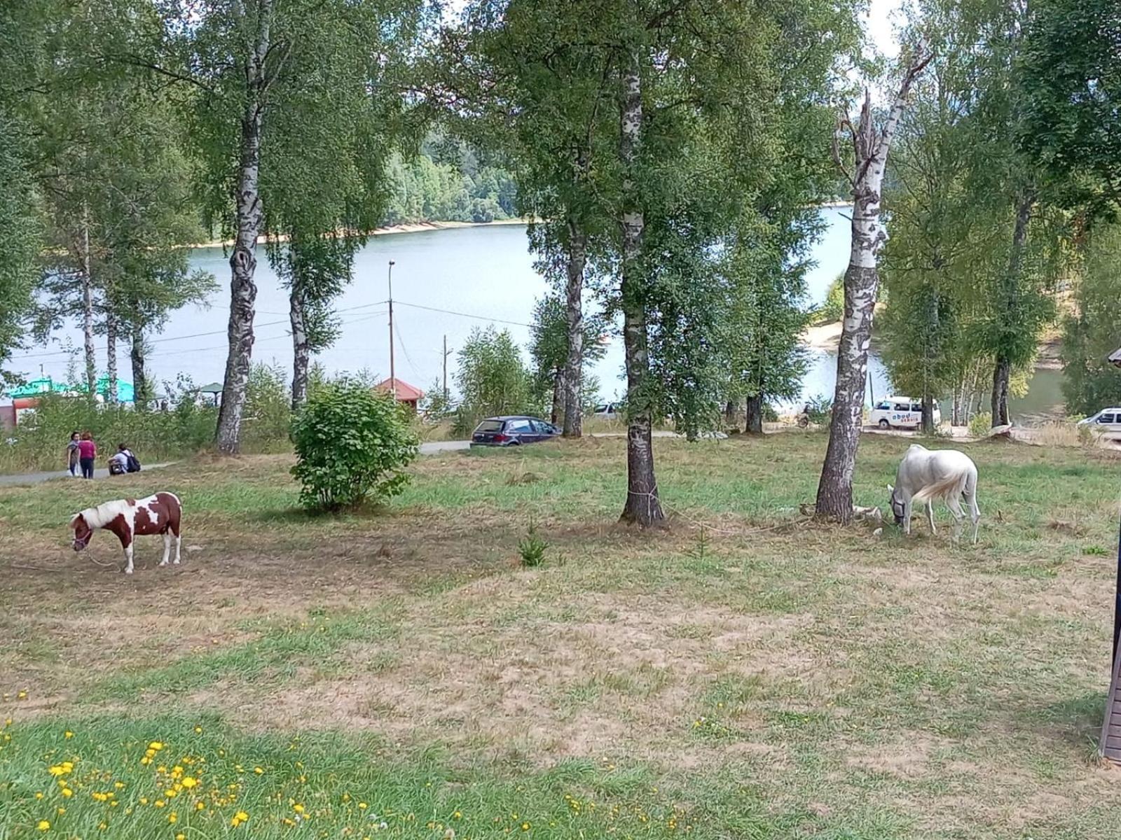 Hotel Vlasina - Vlasinsko Jezero فالسينا ريد المظهر الخارجي الصورة