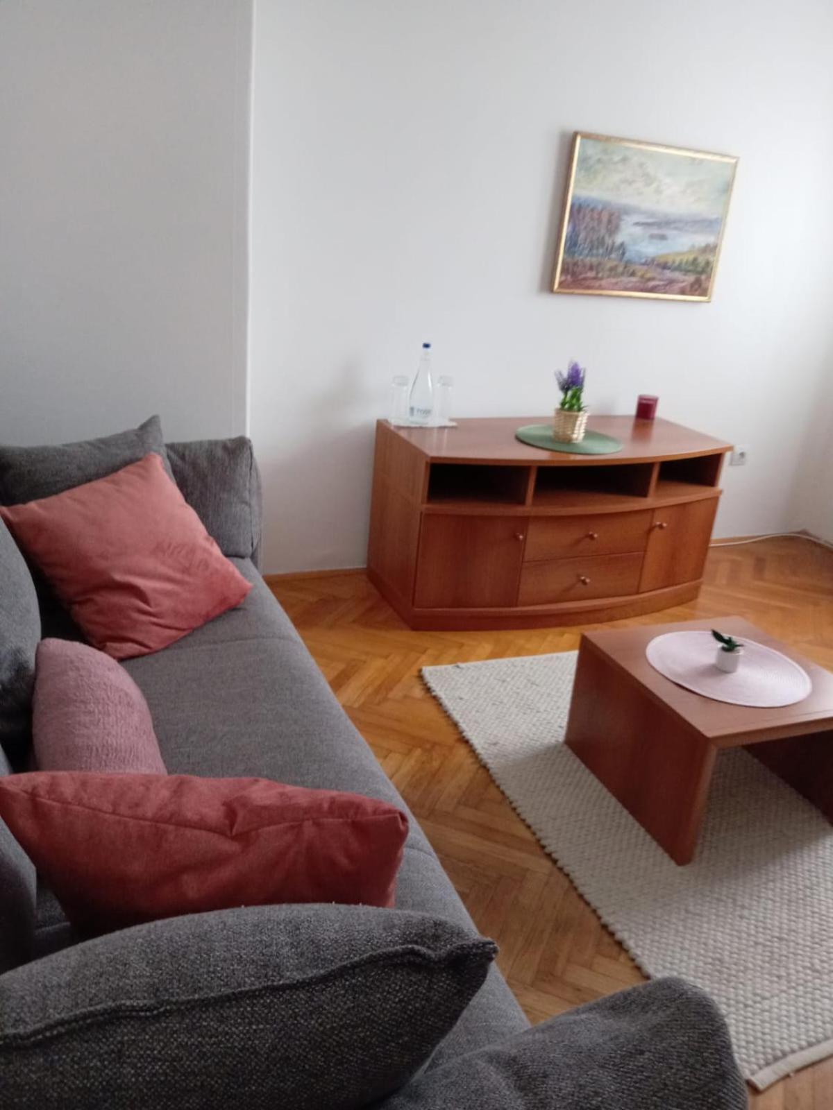 Hotel Vlasina - Vlasinsko Jezero فالسينا ريد المظهر الخارجي الصورة